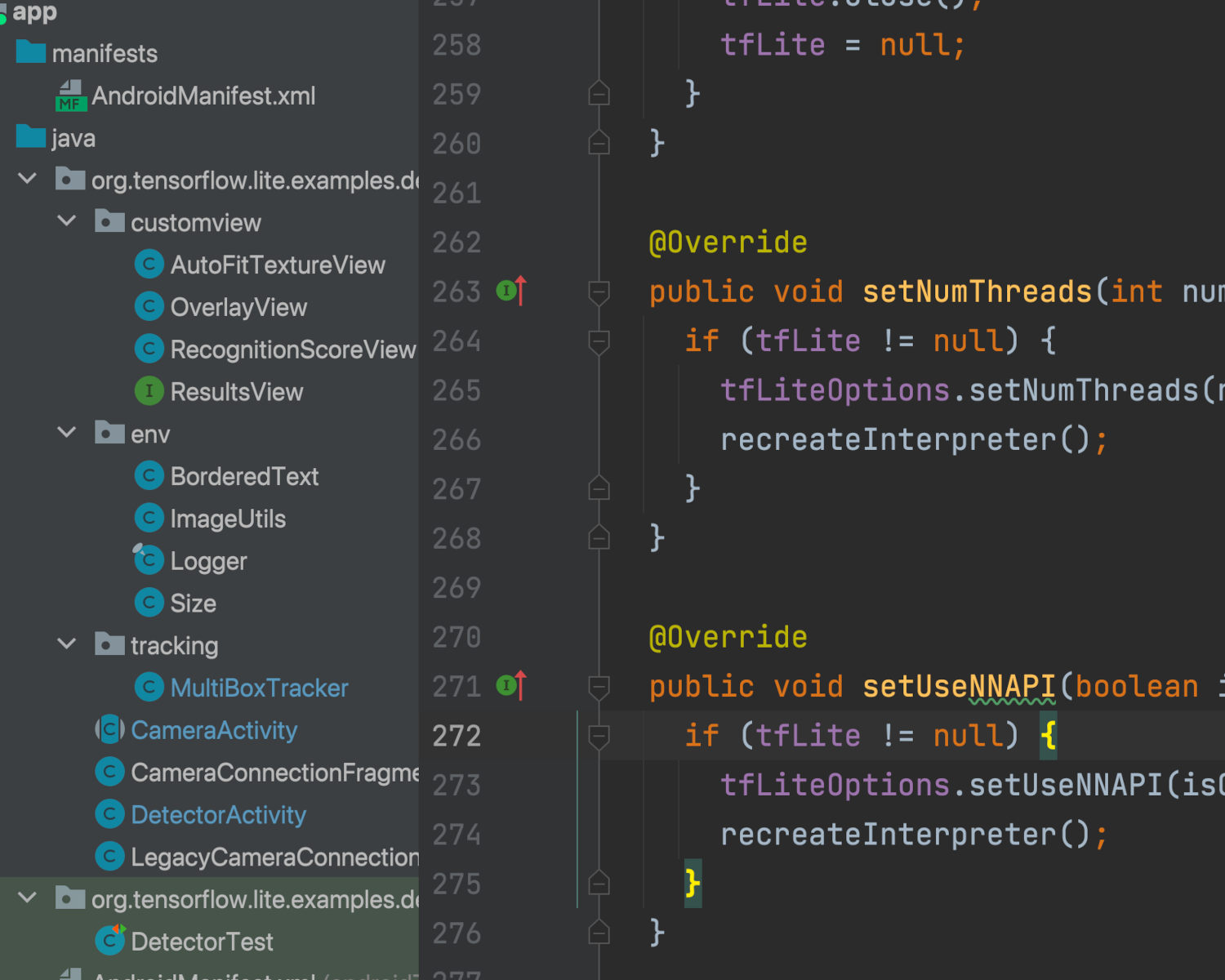 Software Development